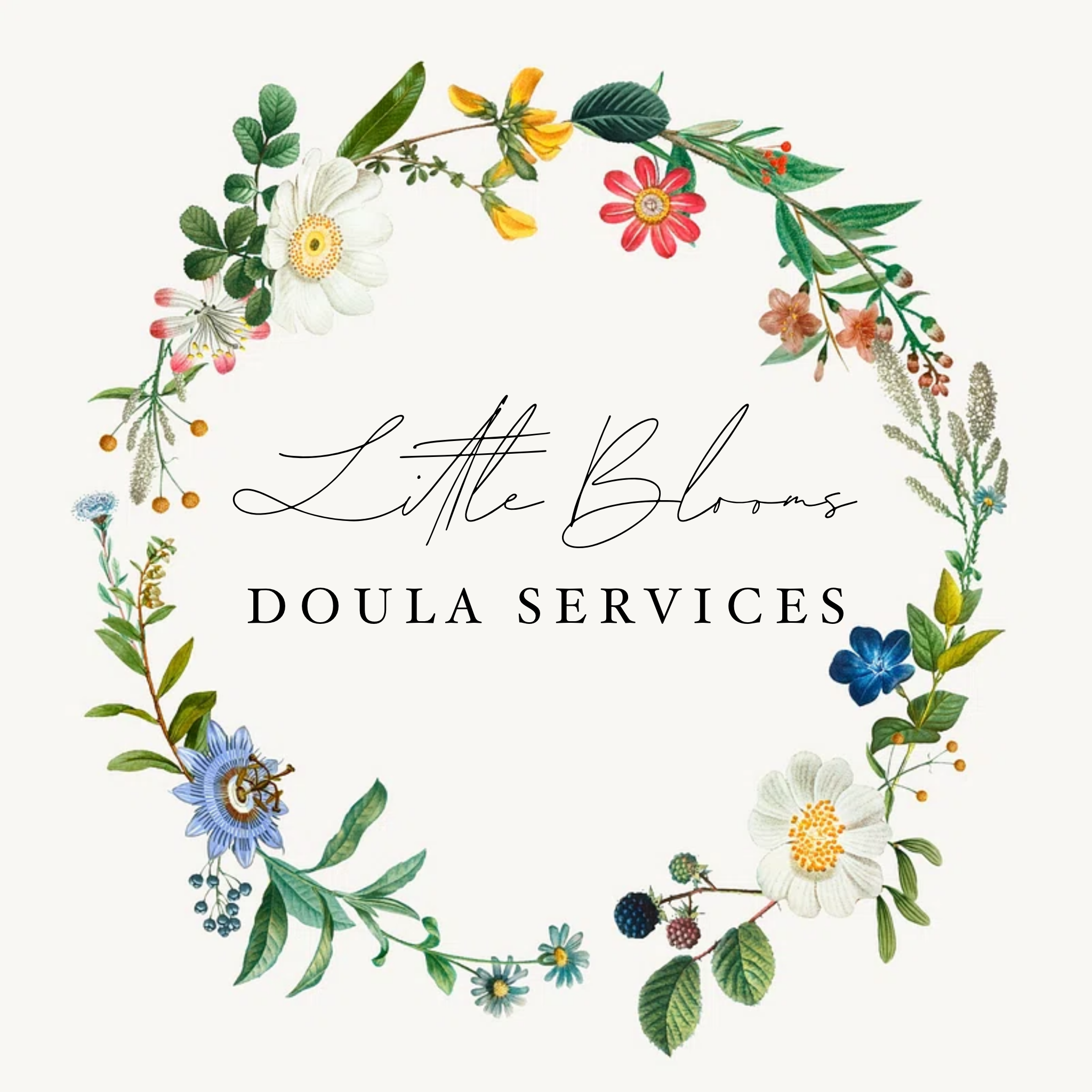 Little Blooms Doula Services