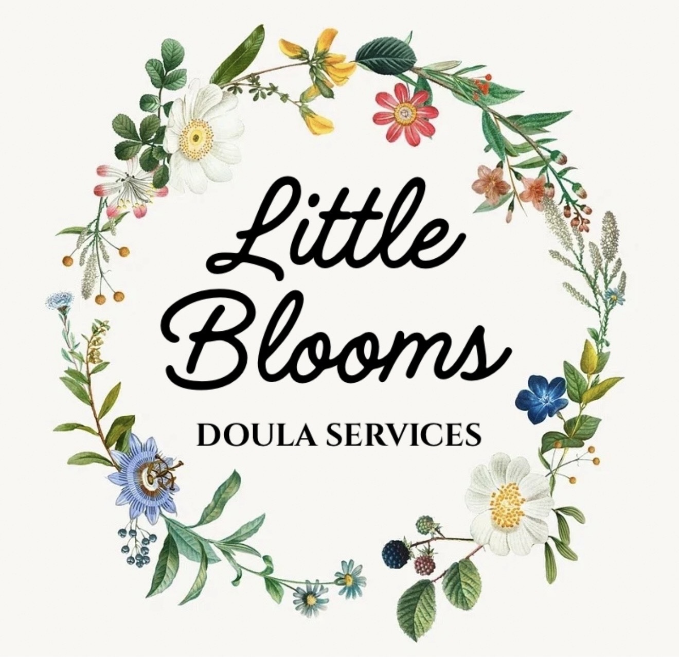 Little Blooms Doula Services